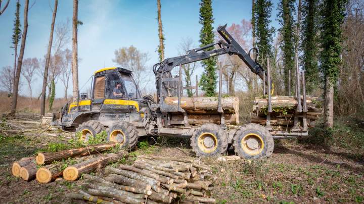 Bois de chauffage à Villette-de-Vienne