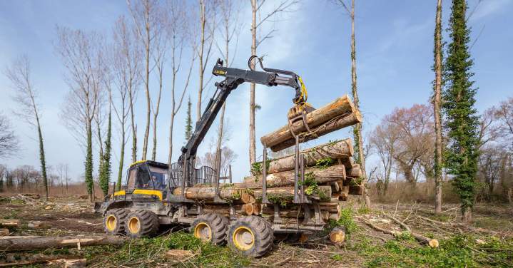 Négoce en bois Villette-de-Vienne
