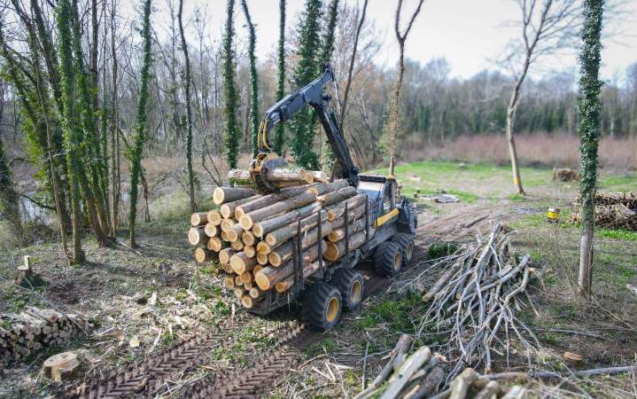 Négociant en bois Villette-de-Vienne