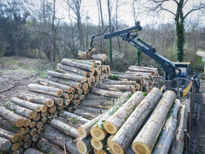 Exploitation forestière Villette-de-Vienne