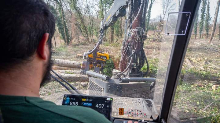Bois de chauffage à Villette-de-Vienne