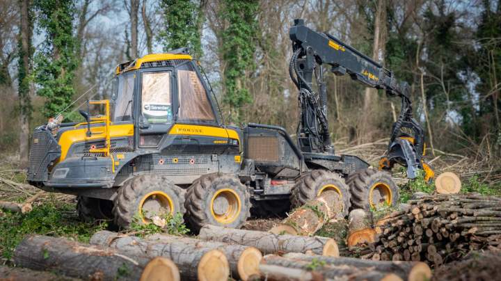 Achat de bois sur pied Villette-de-Vienne