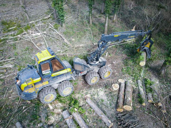 Exploitation forestière Villette-de-Vienne
