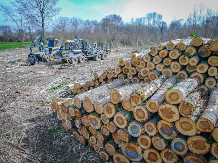 Achat de bois sur pied Villette-de-Vienne
