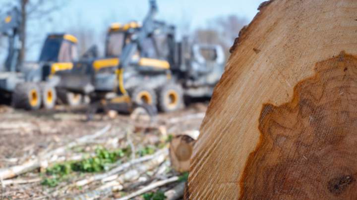 Bois de chauffage à Villette-de-Vienne
